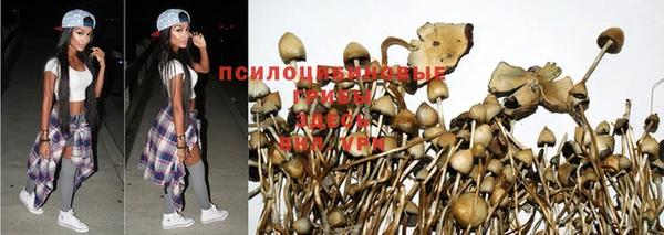 MDMA Premium VHQ Магас