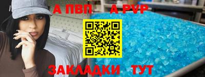 стаф Донской