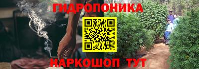 стаф Донской