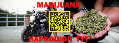 стаф Донской