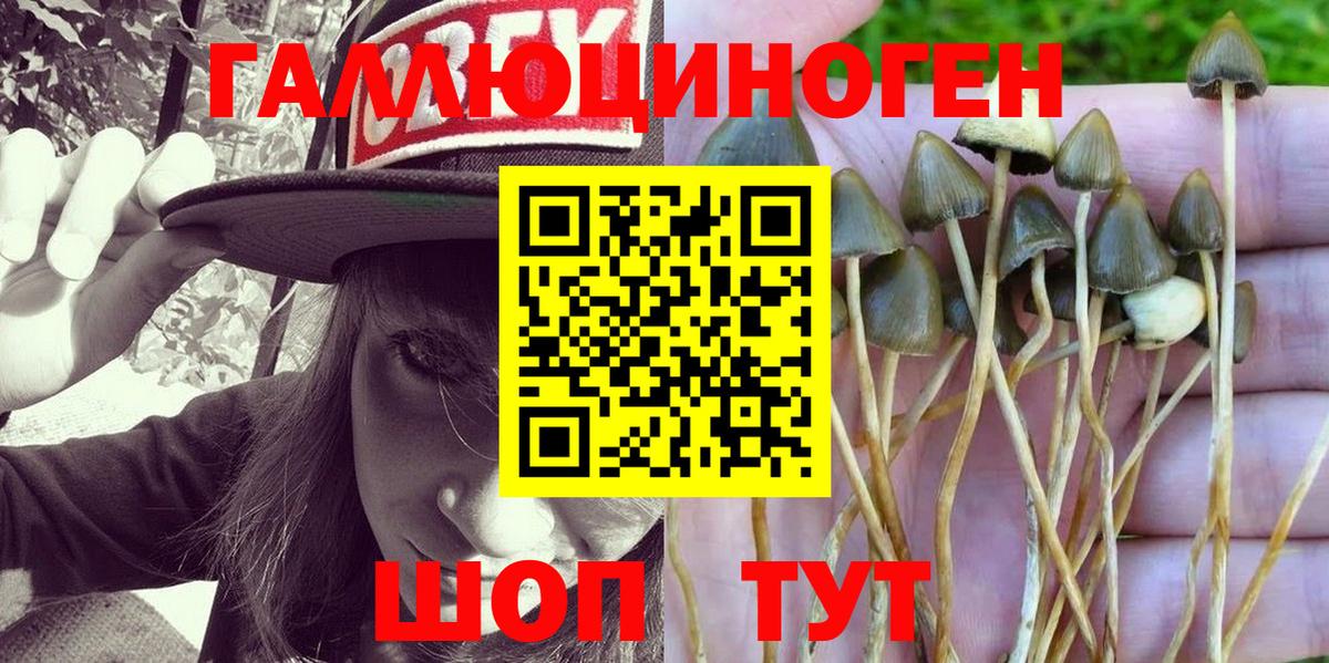 Псилоцибиновые грибы MAGIC MUSHROOMS Тайшет