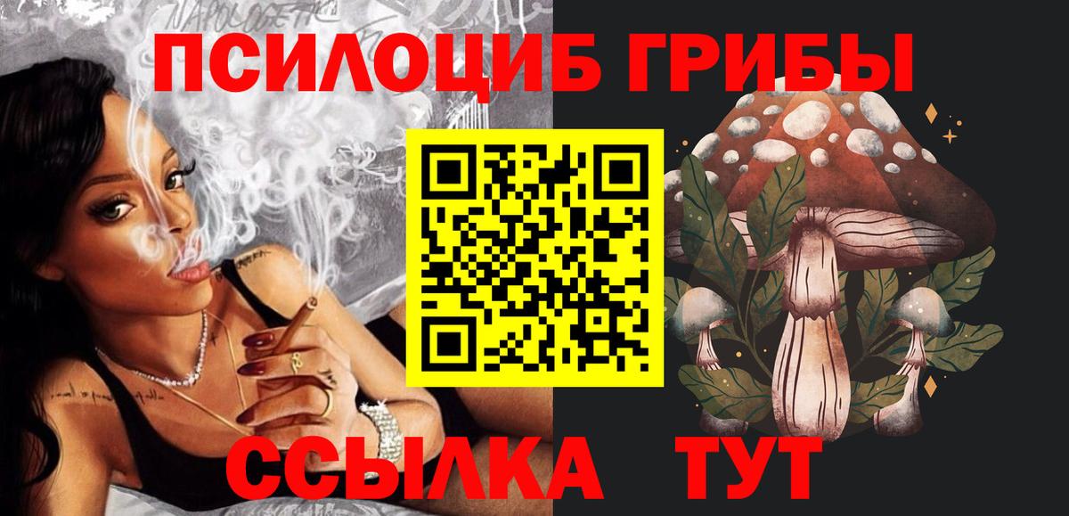 Галлюциногенные грибы Psilocybe  Вход с VPN  Тайшет 