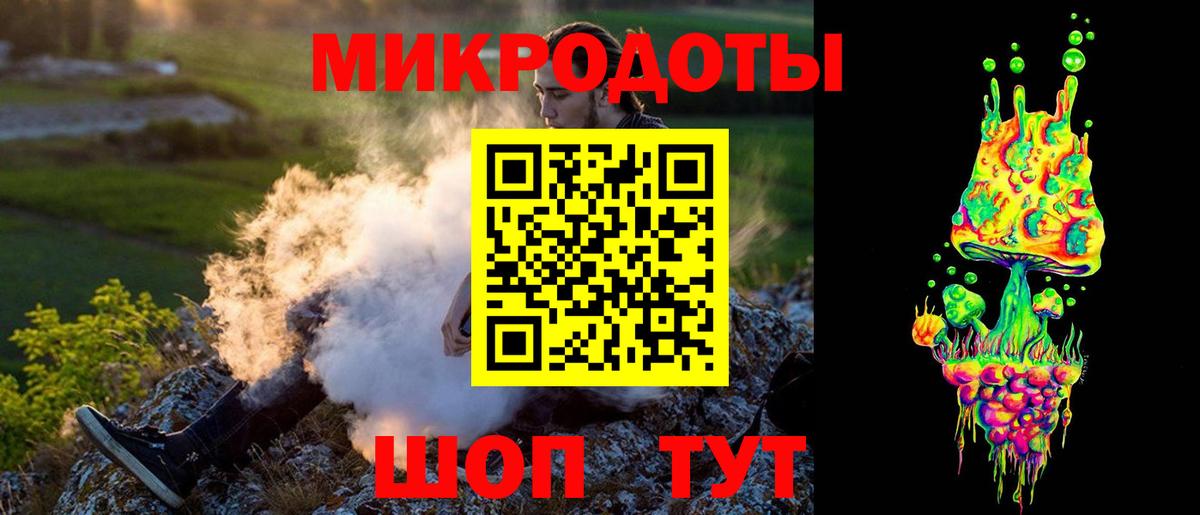 как найти   Тайшет  Псилоцибиновые грибы Psilocybe  Галлюциногенные грибы Magic Shrooms 