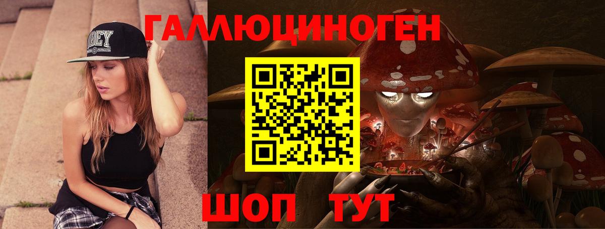 Псилоцибиновые грибы Psilocybe Тайшет