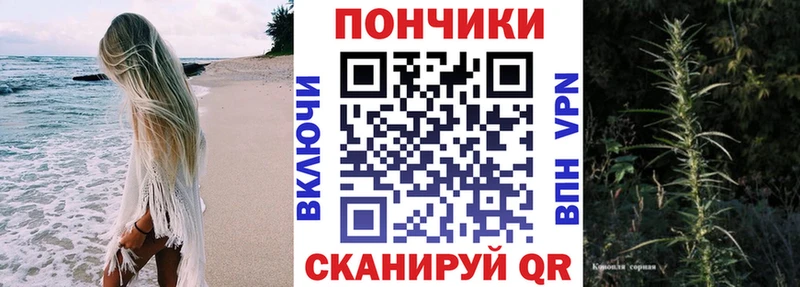 Шишки марихуана VHQ  где купить   Тайшет 